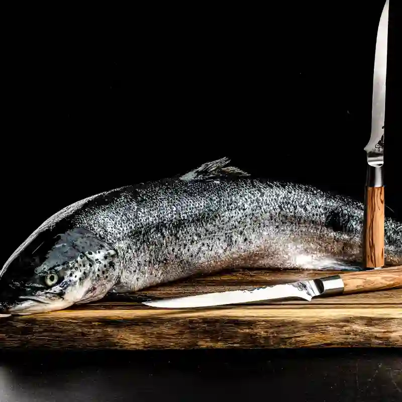 Filetovací nůž na ryby Forged Oliva 18 cm ručně kovaný z japonské oceli